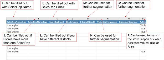 Districts n Sales Reps Excel I-P Explained 1.0